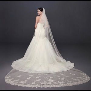 Cathedral Wedding Veil